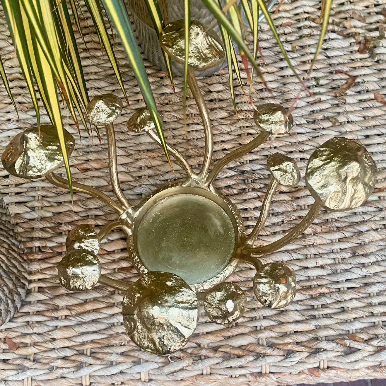 The Gold Mushrooms and Steel Ice Bucket