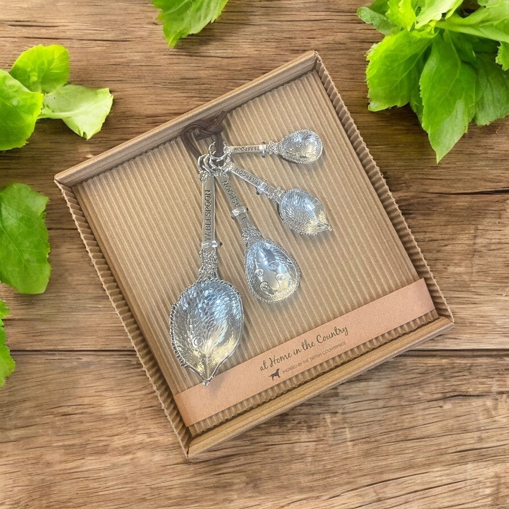 Set of 4 Hedgehog Measuring Spoons