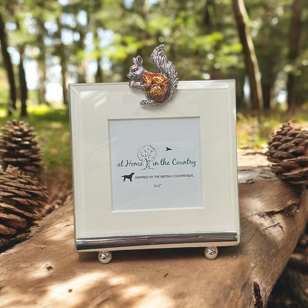 Squirrel Square Frame
