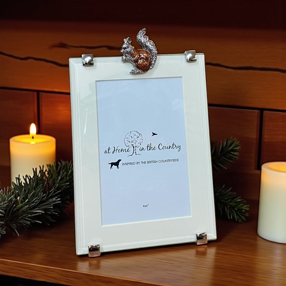 Squirrel Rectangle Frame