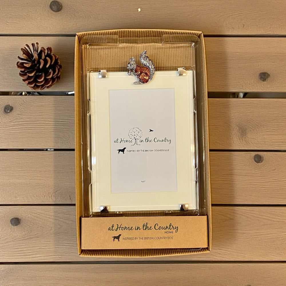 Squirrel Rectangle Frame