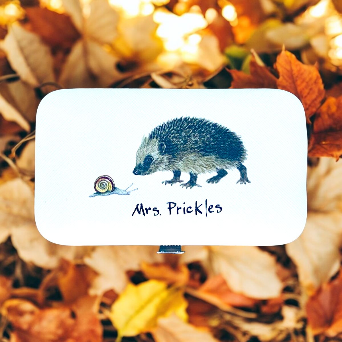 Mrs Prickles Hedgehog Manicure Set