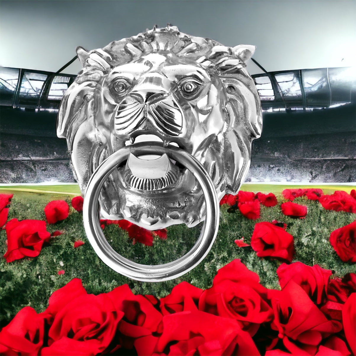 Lion's Head Towel Holder