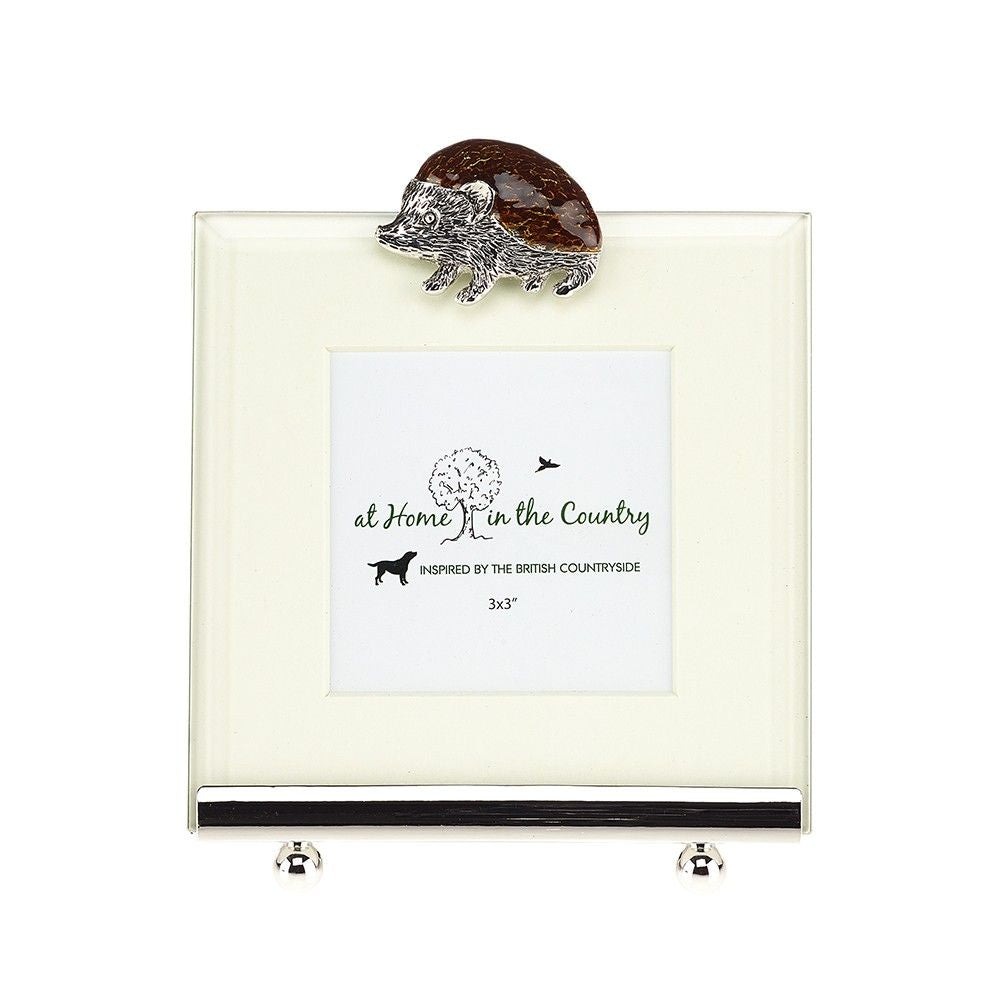 Enamel Hedgehog Square Frame