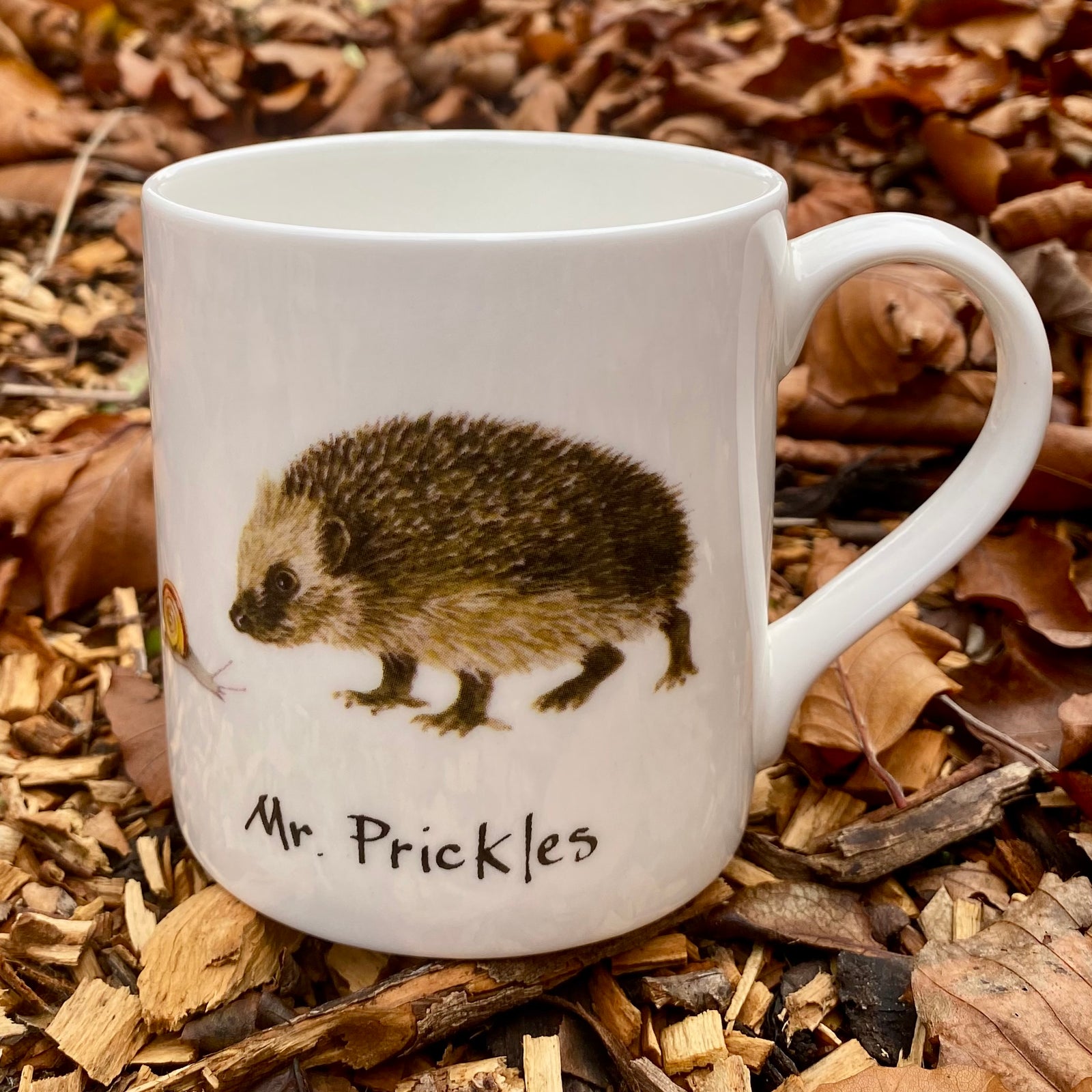 Mr Prickles Fine Bone China Mug