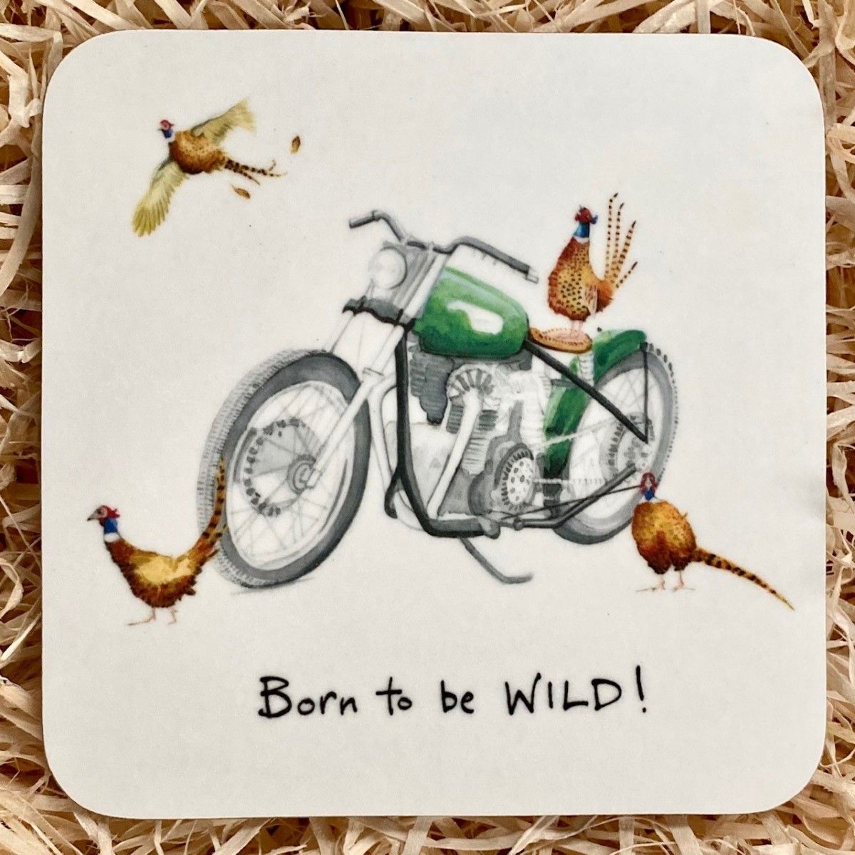 Born to be Wild Coaster