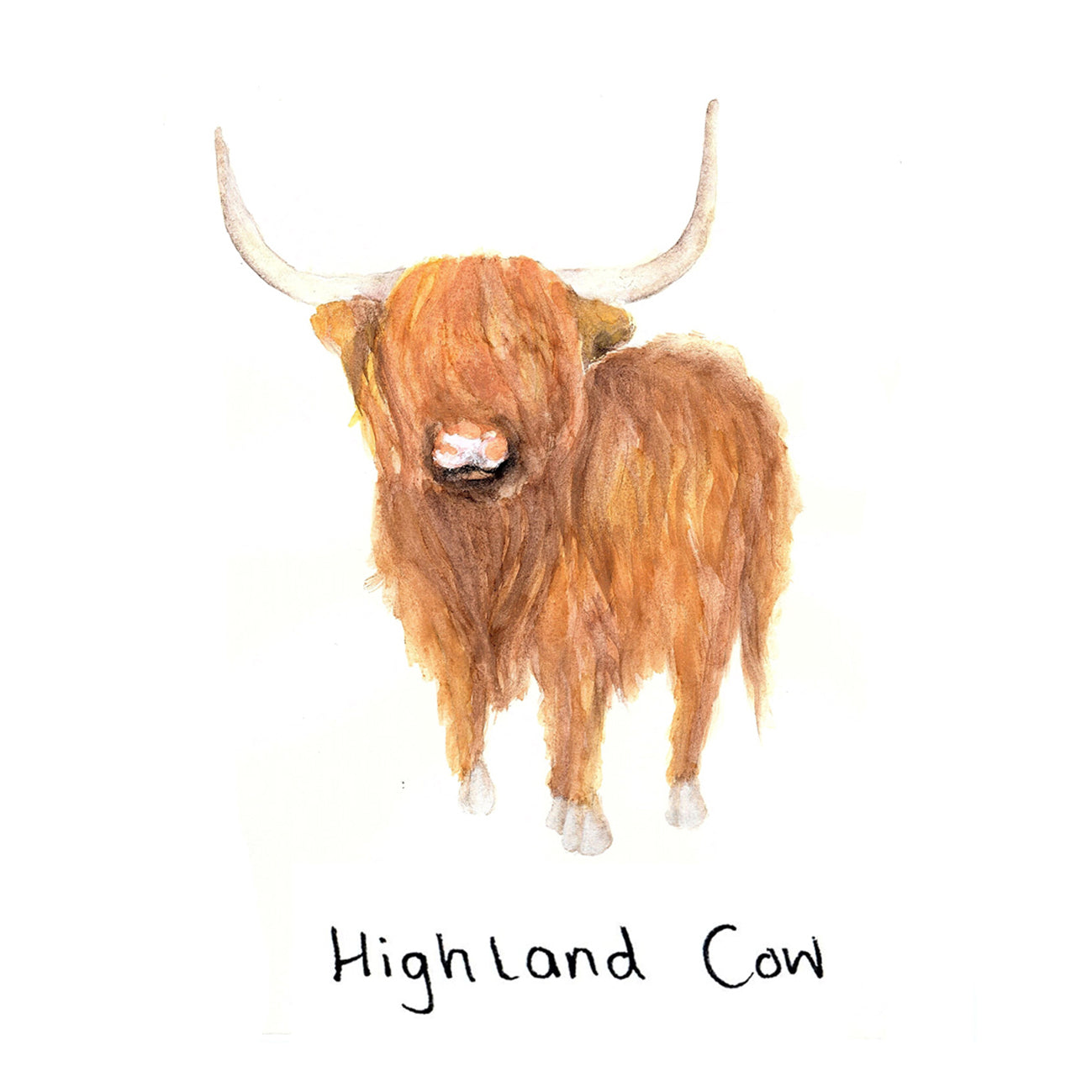Highland Cow Coaster