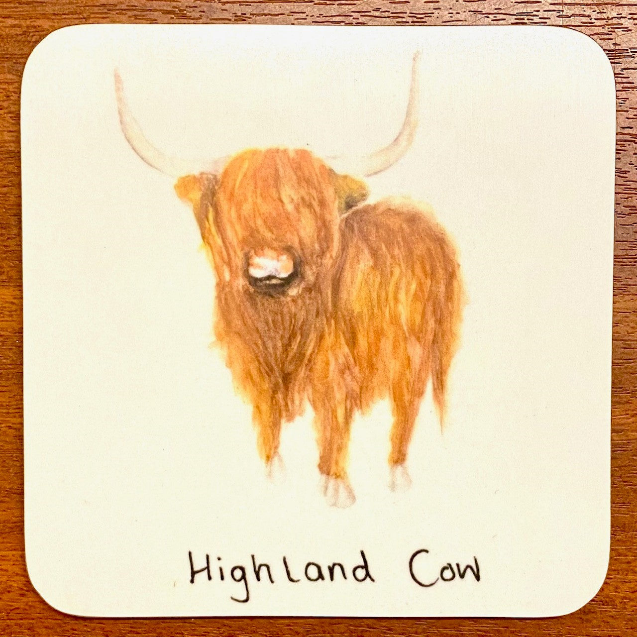 Highland Cow Coaster