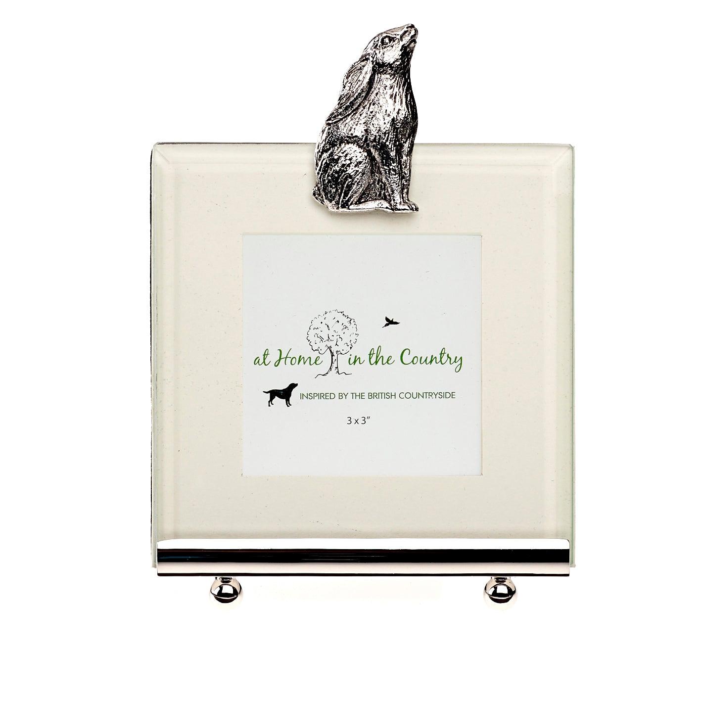 Moongazing Hare Photo Frame