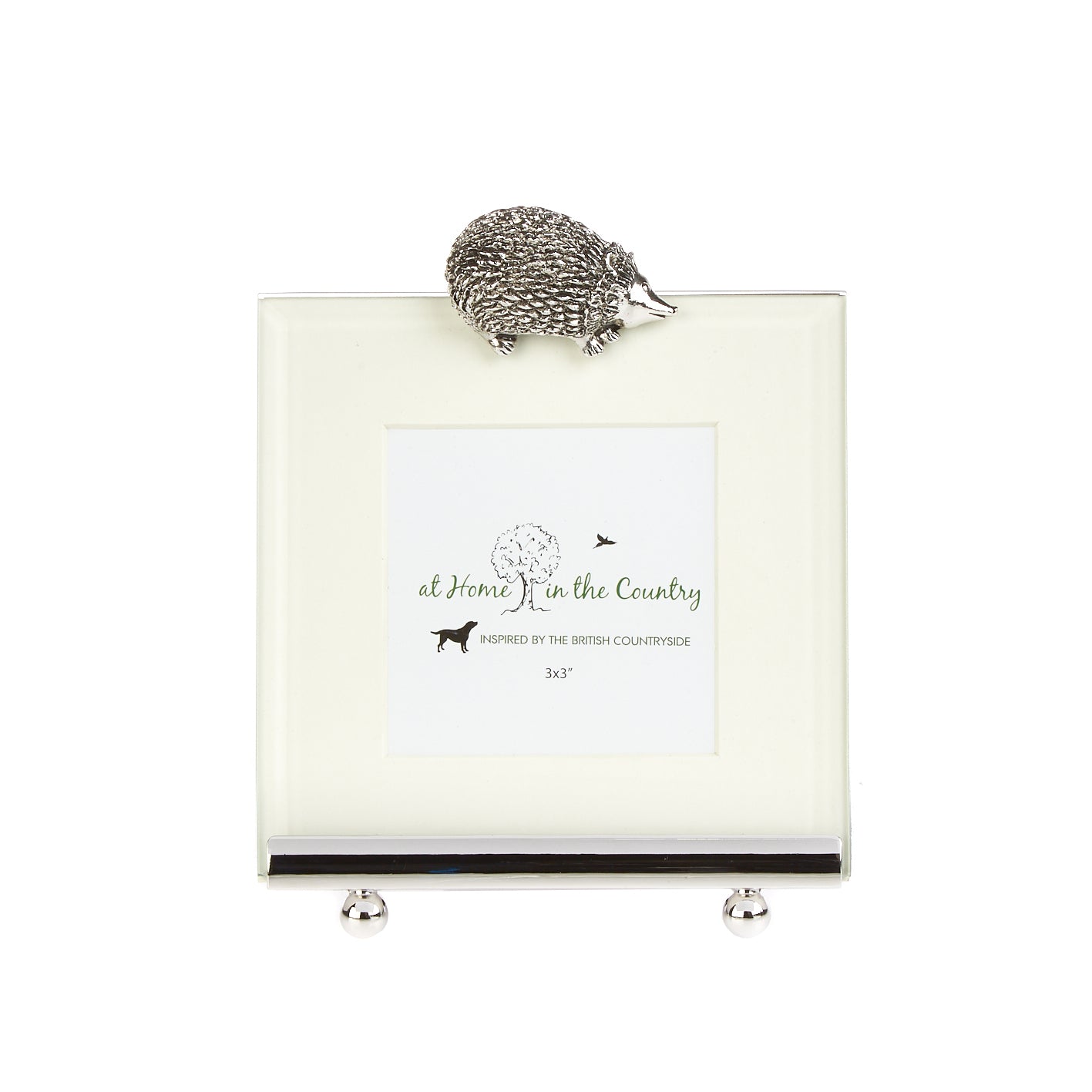 Hedgehog Photo Frame