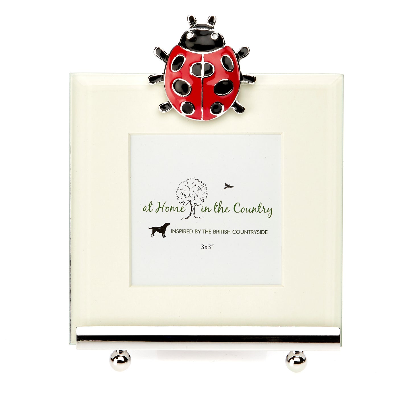 Ladybird Enamel Frame