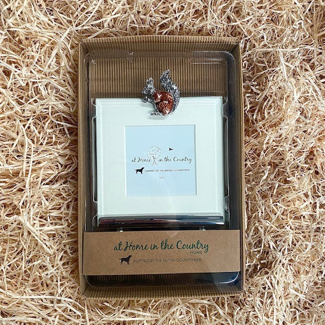 Squirrel Square Frame