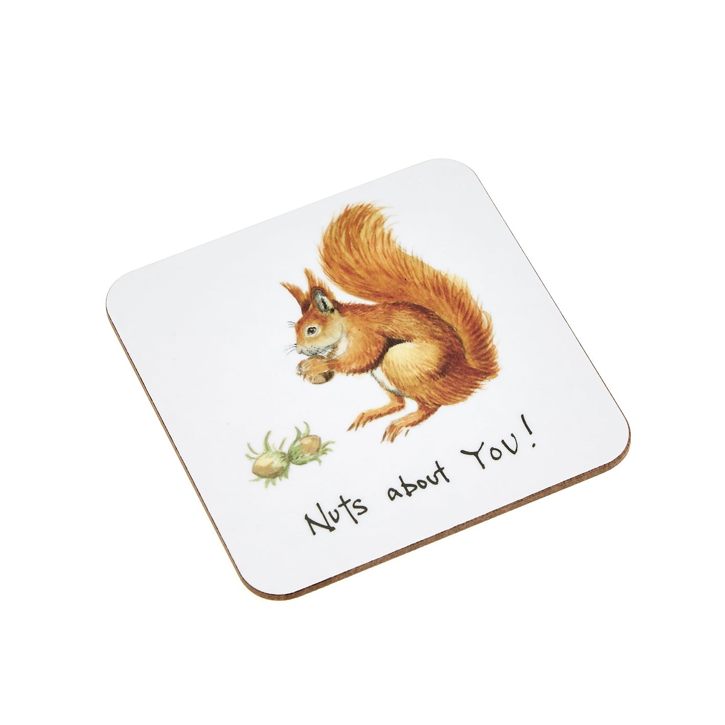 Nuts About You! Coaster