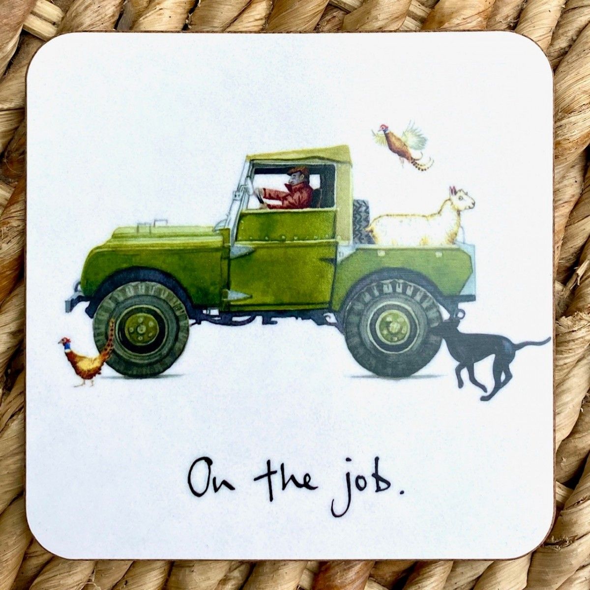 On the Job Coaster