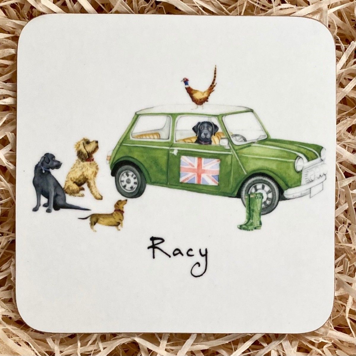 'Racy' Coaster