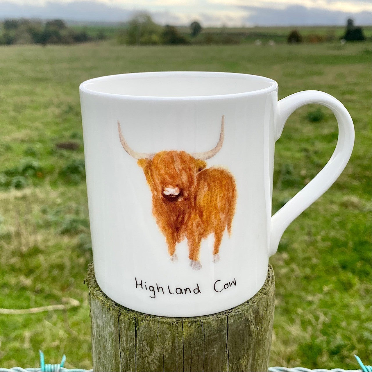 The Highland Cow Mug, Handkerchief & Coaster Gift Box