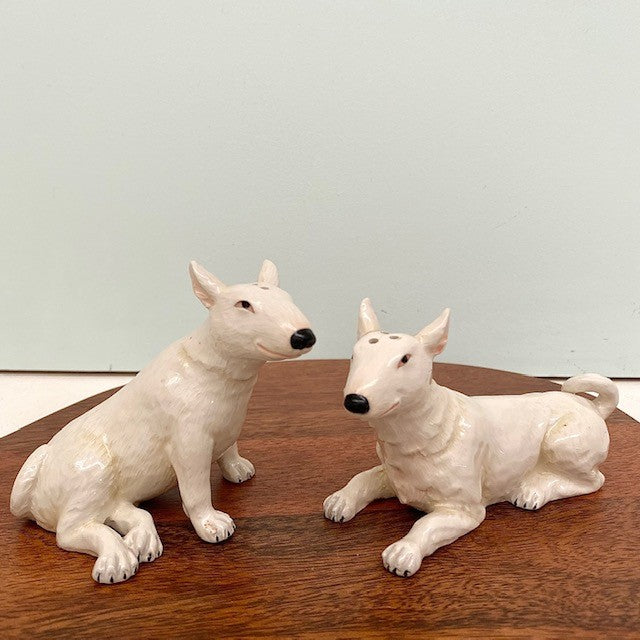 Bull Terrier Dog Salt and Pepper Salt